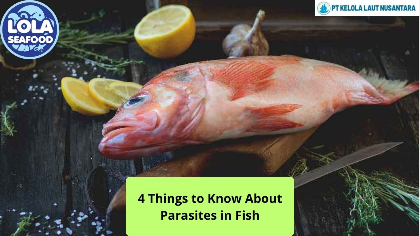 4 Things to Know About Parasites in Fish